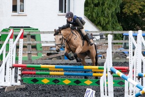 Class 6 - Fences not above 2'9